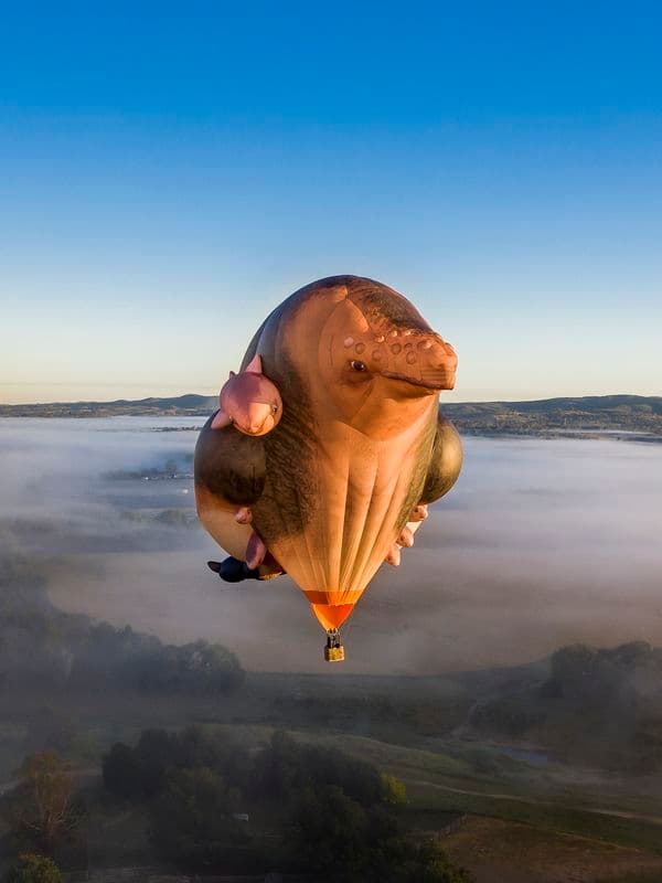 Photo of a hot air balloon in the shape of skywhale floating through the sky