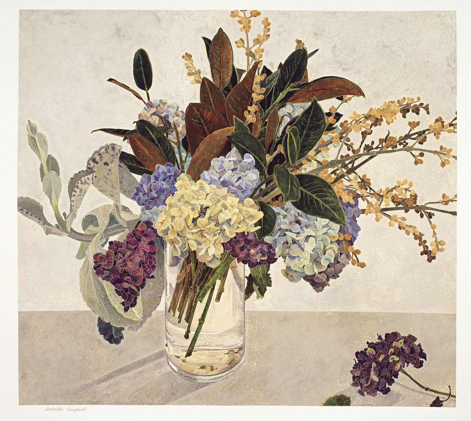 Cressida Campbell - National Gallery of Australia