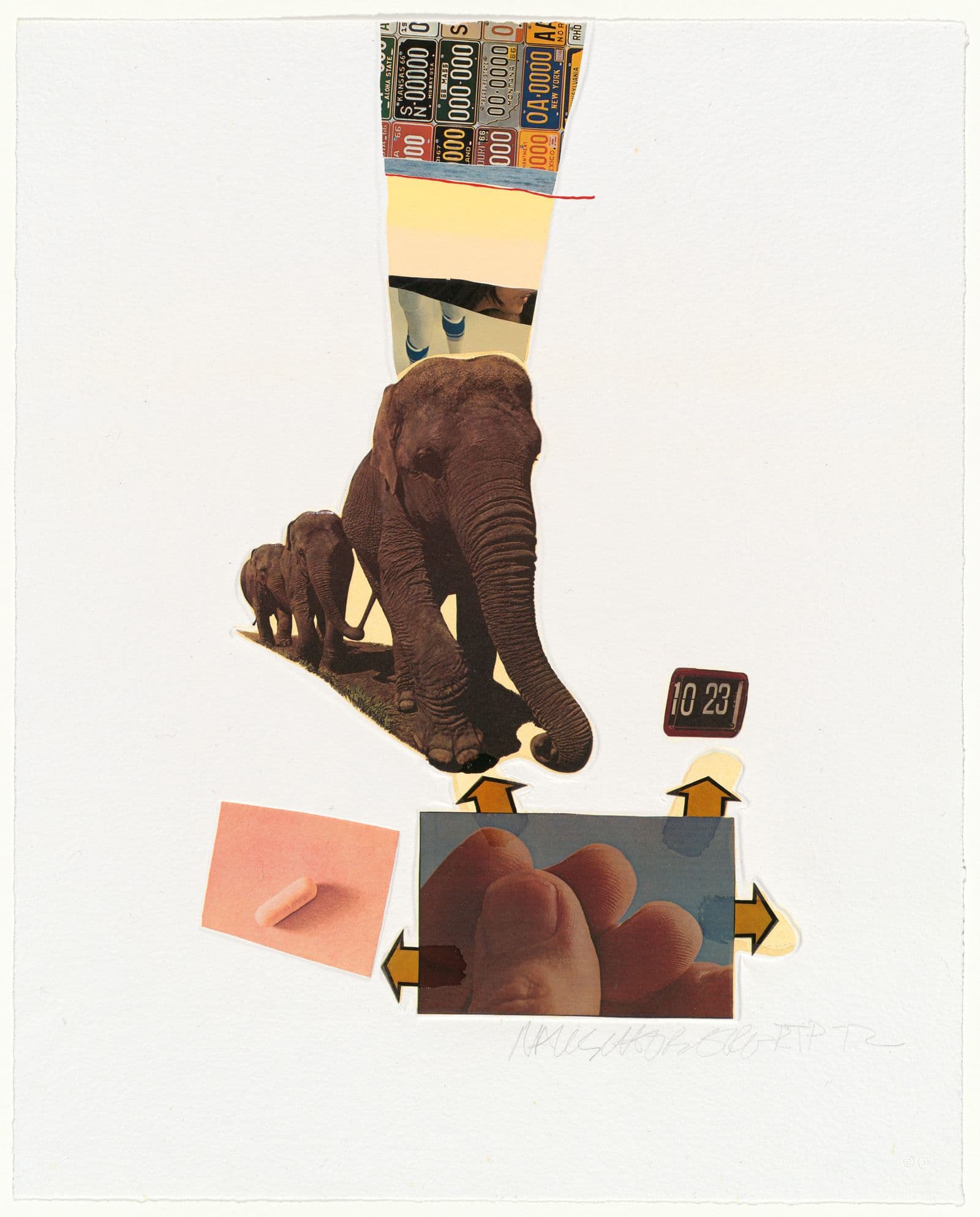 Collage with two elephants in the centre, small clock face, pill and fingertip images